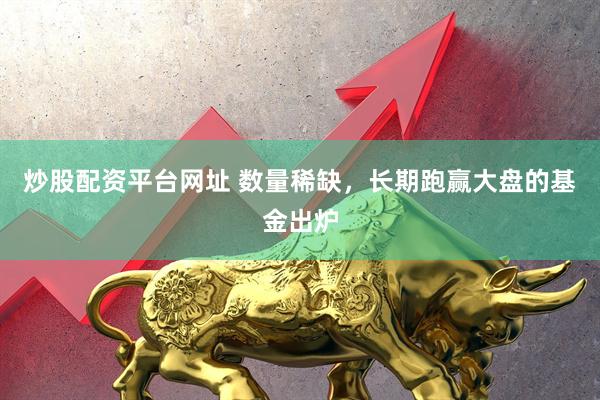 炒股配资平台网址 数量稀缺，长期跑赢大盘的基金出炉