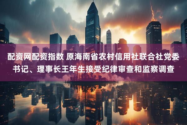 配资网配资指数 原海南省农村信用社联合社党委书记、理事长王年生接受纪律审查和监察调查