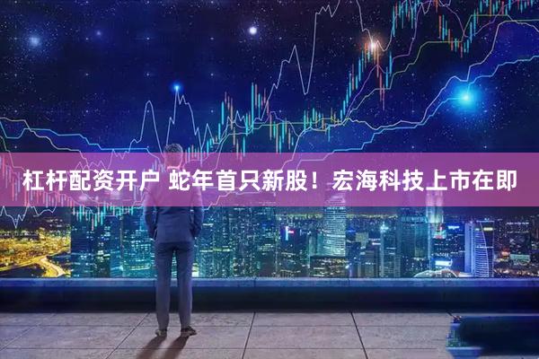 杠杆配资开户 蛇年首只新股！宏海科技上市在即
